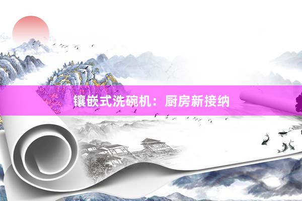 镶嵌式洗碗机：厨房新接纳