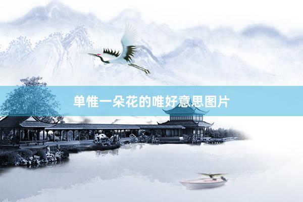 单惟一朵花的唯好意思图片