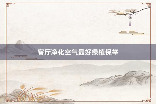 客厅净化空气最好绿植保举