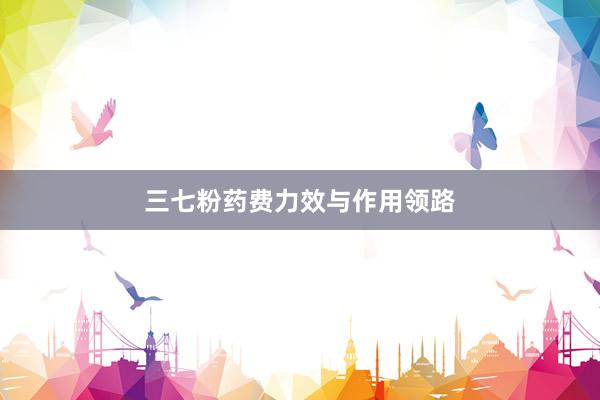 三七粉药费力效与作用领路